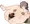 Skeb