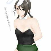 ブルマバニーなるもの