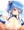 セントルイスズリ