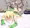 おめでたい！