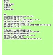 爆乳淫魔ハンターシオン～マミフィケーション・トラップ～(前編)