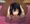 羽黒さんを