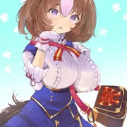 メイショウドトウ