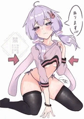 あることを主張するゆかりさん