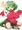 ドラコチャン！