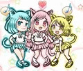サンボルのバタフライキャットの女の子達