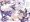 水着山城