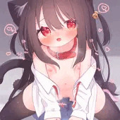 🦈🐈