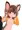 フクロギツネ化