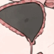 ？