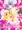 とうぷに・に。