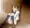 すでのなーニナオ