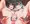 すいこは