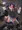 『ASASHIO IJIME』