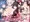 パイズールレーンMIXpack