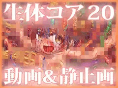 「生体コア 20」DLsiteで販売開始しました！