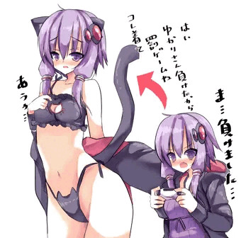 ねこランジェリーとゆかりさん