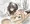 ハイエース＋みかん