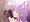 シコシコうさぎ２
