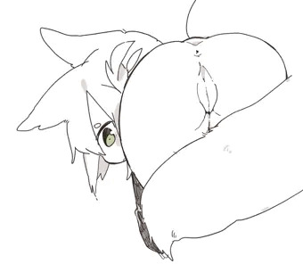 すじ