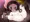 ポピーちゃん2