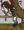 シーソーゲーム