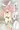 メスあこ