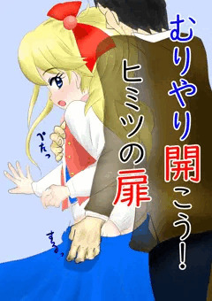 むりやり開こう！　ヒミツの扉