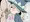 魔女見習いちゃんVSくっせえチンポ