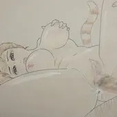 アニメーションテスト