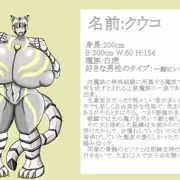 超乳白虎嫁　クウコ　プロフィール