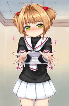 SAKURA-EX45