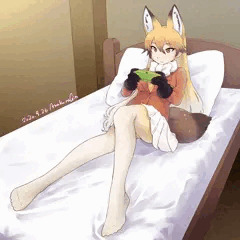 キタキツネ