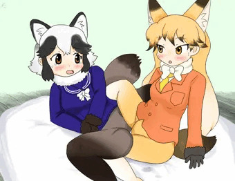 たぬきた