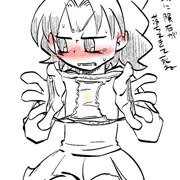 プリアラ19枚