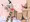 無表情褐色竜ロリ娘まとめ