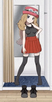 【リクエスト】セレナ試着室