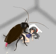 スクール水着JSとゴキブリの交尾