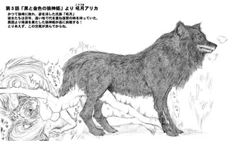「黒と金色の狼神姫」より 48時間ぶりの交尾結合