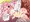 シャロだってああ見えて実は…？