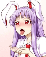 生死に穢れた月の兎