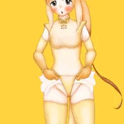 たくし上げキンシコウ