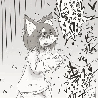ローターエクスペリエンス