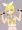 鏡音リン