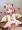 アーニャちゃん