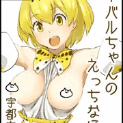 4/9ジャパリケット 5/5フレンズチホー