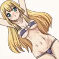 これがマイクロビキニです