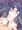 クロエたんに挿入さん