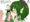 催眠ヴァレンティナ