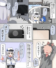 突入rrdog